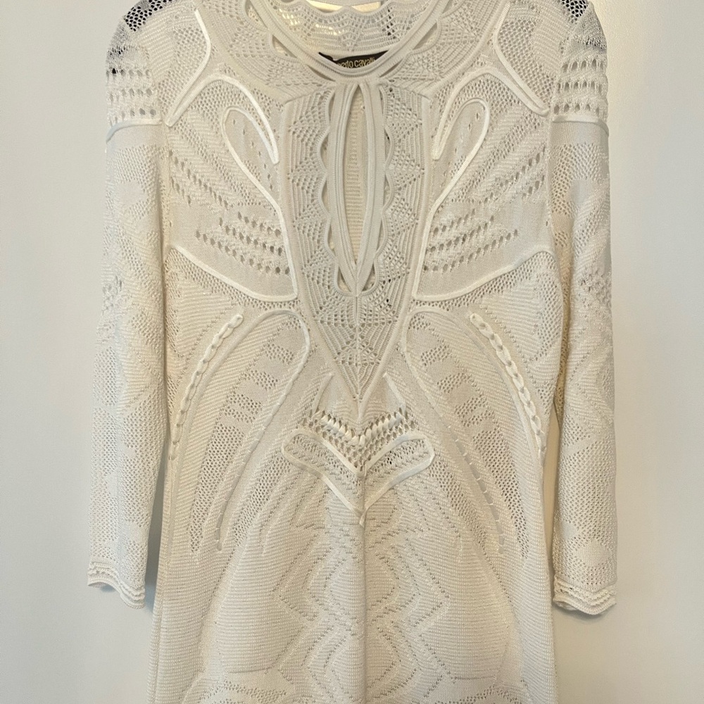 Roberto Cavalli coverup  Lace Dress - Picture 9 of 10